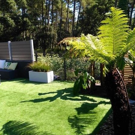 Villa Patio Terrasse Privative Ocean 10 Min A Pied 세노스 외부 사진